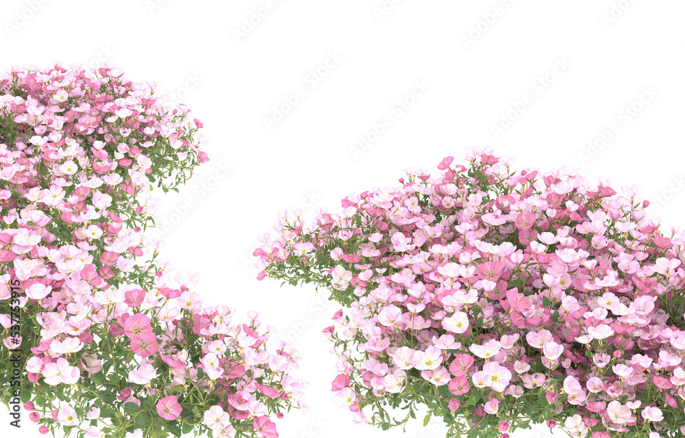 Field of flowers on transparent background. 3d rendering - illustration Field of flowers on transparent background. 3d rendering - illustration