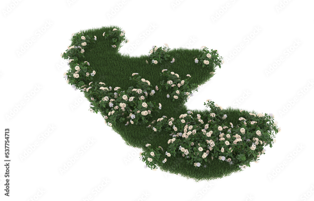 Field of flowers on transparent background. 3d rendering - illustration Field of flowers on transparent background. 3d rendering - illustration