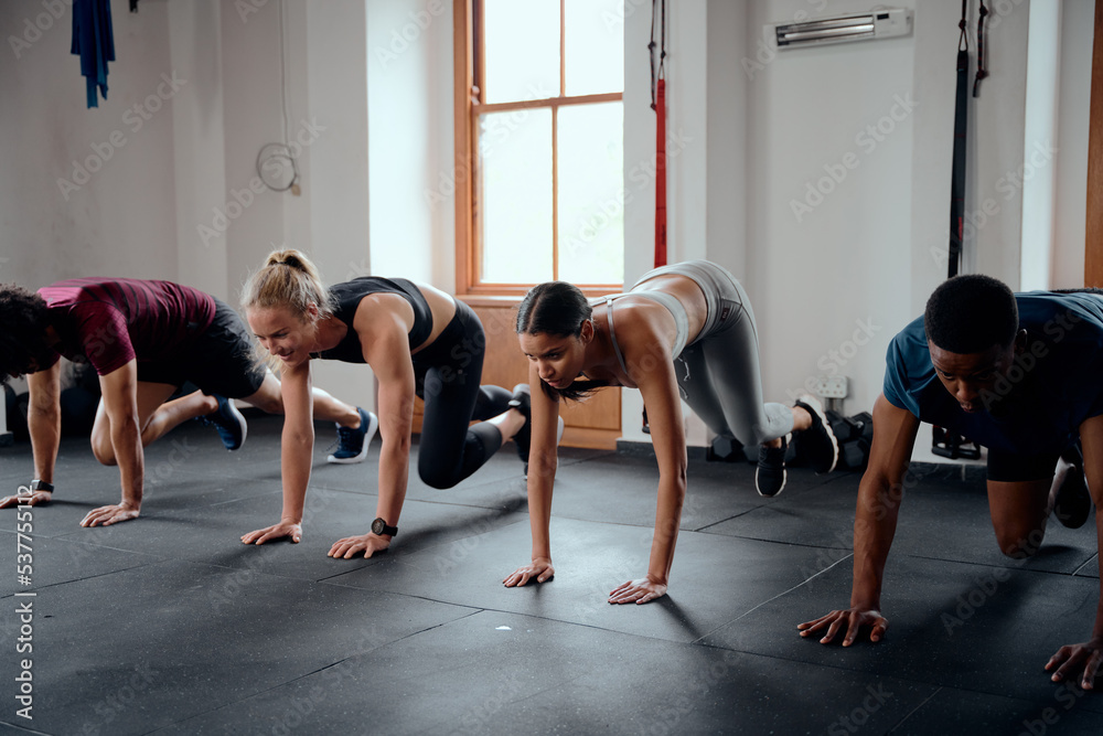 Group of fit multiracial young adults doing mountain climbers at the gym