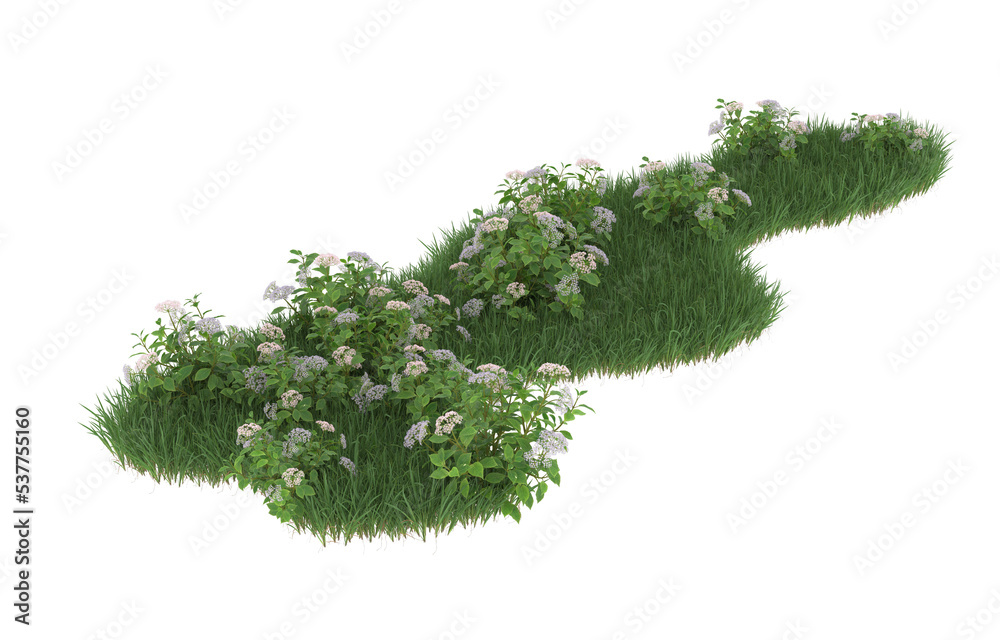 Fototapeta premium Grass and flowers on transparent background. 3d rendering - illustration