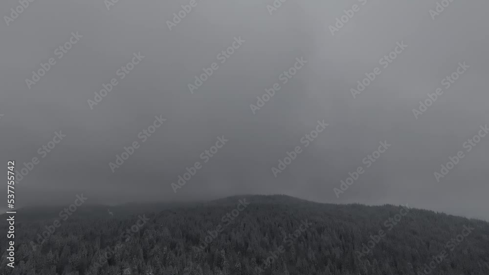 Snow covered trees in a forest with moving mist and beautiful light, aerial birds eye view winter footage Snow covered trees in a forest with moving mist and beautiful light, aerial birds eye view winter footage