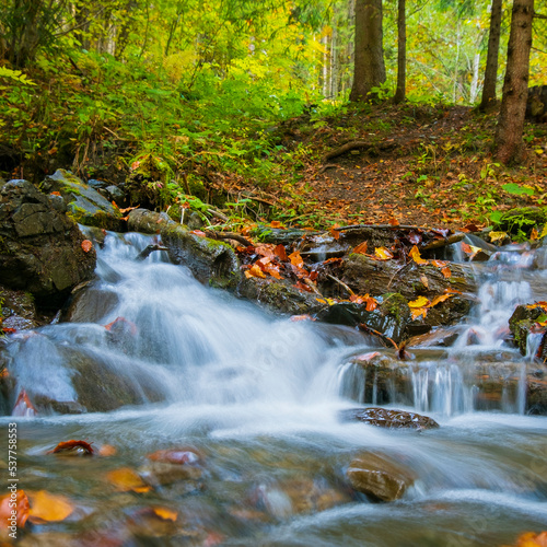 water flow in the forest, autumn landscape. water in slow motion