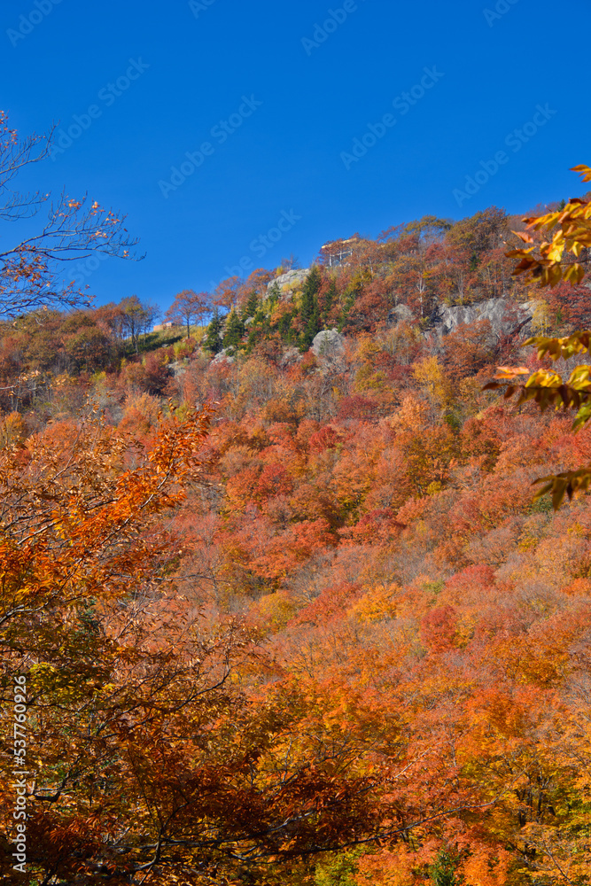 Beautiful  fall colors in the Canadian countryside at fall in the province of Quebec