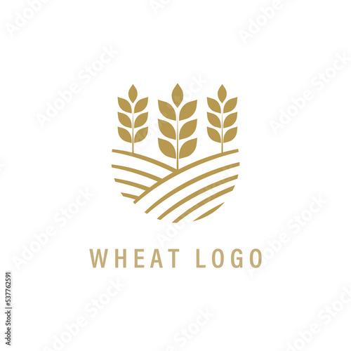 Wheat grain logo designs. Simple agriculture or bakery. Company logo symbol.