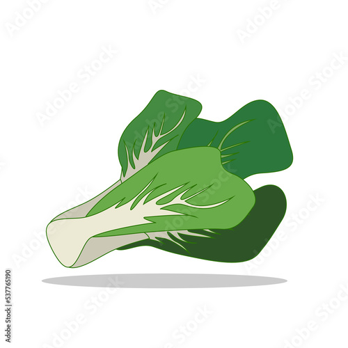 Art illustration Symbol logo botany design concept icon vegetables of green leaf mustard
