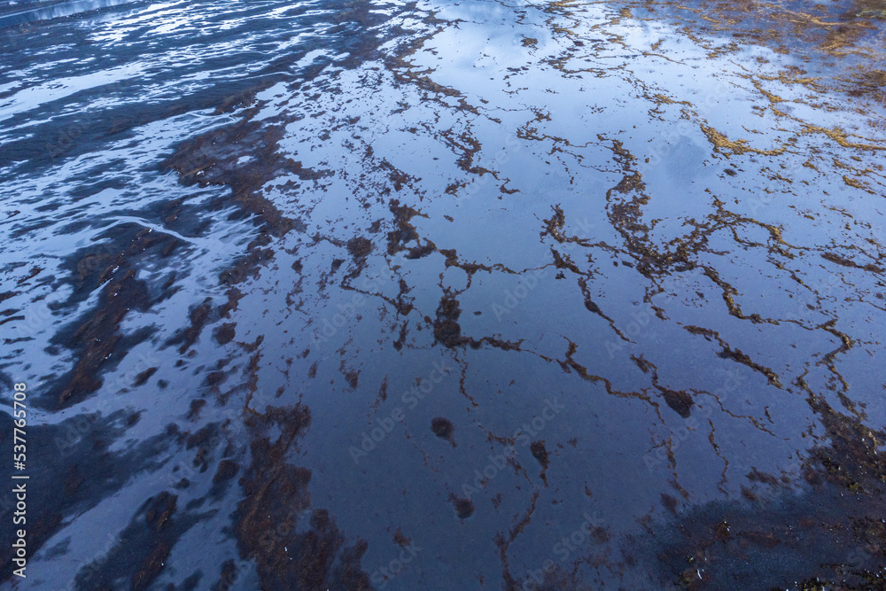 River estuary located in wetland