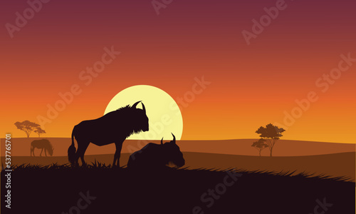 Color sunset scene African landscape with silhouette wild beast vector illustration.