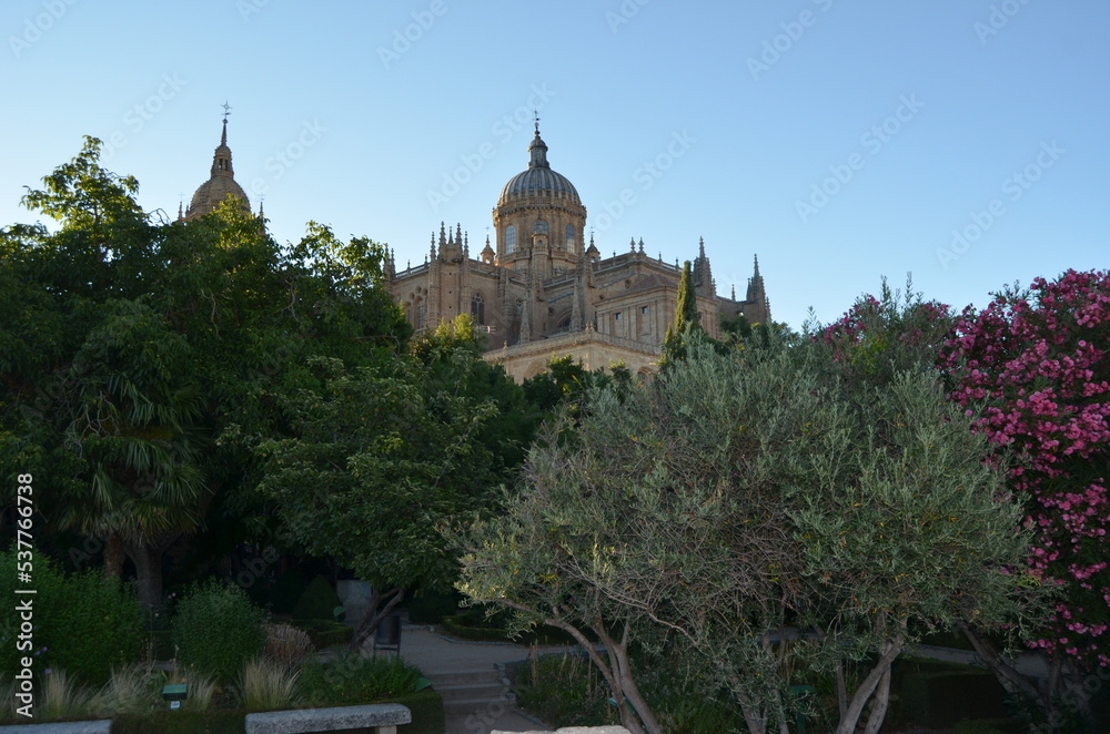 Huerto de Calixto y Melibea y de fondo la catedral de salamanca