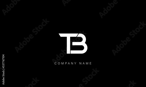 BT, TB Abstract Letters Logo Monogram