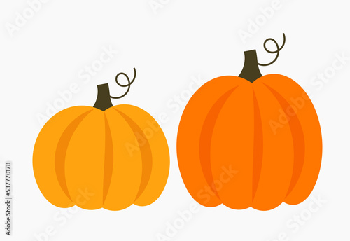 Two big pumpkins isolated on white background. Autumn pumpkins