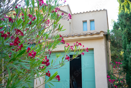 Obraz na płótnie Red flowers near a house, beautiful plants in the France w salonie