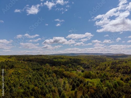 Forest from high point mountains with sky and clouds in background