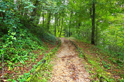 Banja Koviljaca, Loznica, Serbia. Mount Guchevo, park and forest, forest terraces. Withered leaves in September. Paths and paths for hiking. Calm ecological rest for recovery. Mixed European forest photo