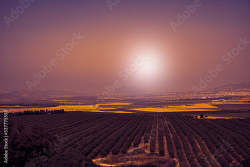 Israeli Golan Heights