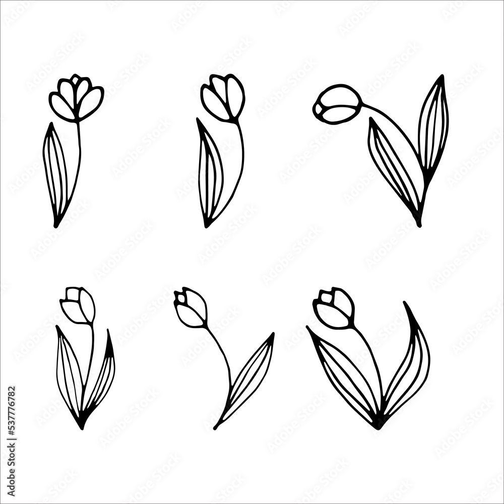 Tulips flowers doodle style vector illustration isolated on white