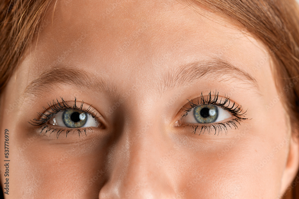 Naklejka premium Close-up image of beautiful grey female eyes looking at camera. Redhead model with nude makeup. Mascara beauty