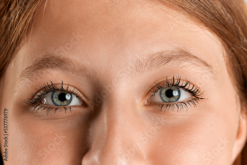 Close-up image of beautiful grey female eyes looking at camera. Redhead model with nude makeup. Mascara beauty