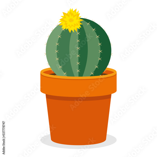Vector isolated flowering cactus. Cute green cactus in a flower pot