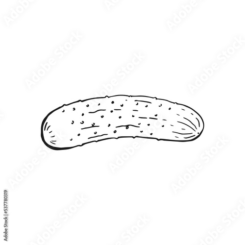 Cucumber outline. Hand drawn vector illustration. Farm market product, isolated vegetable.