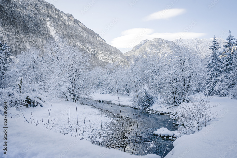snowy winter landscape crossed by a river
