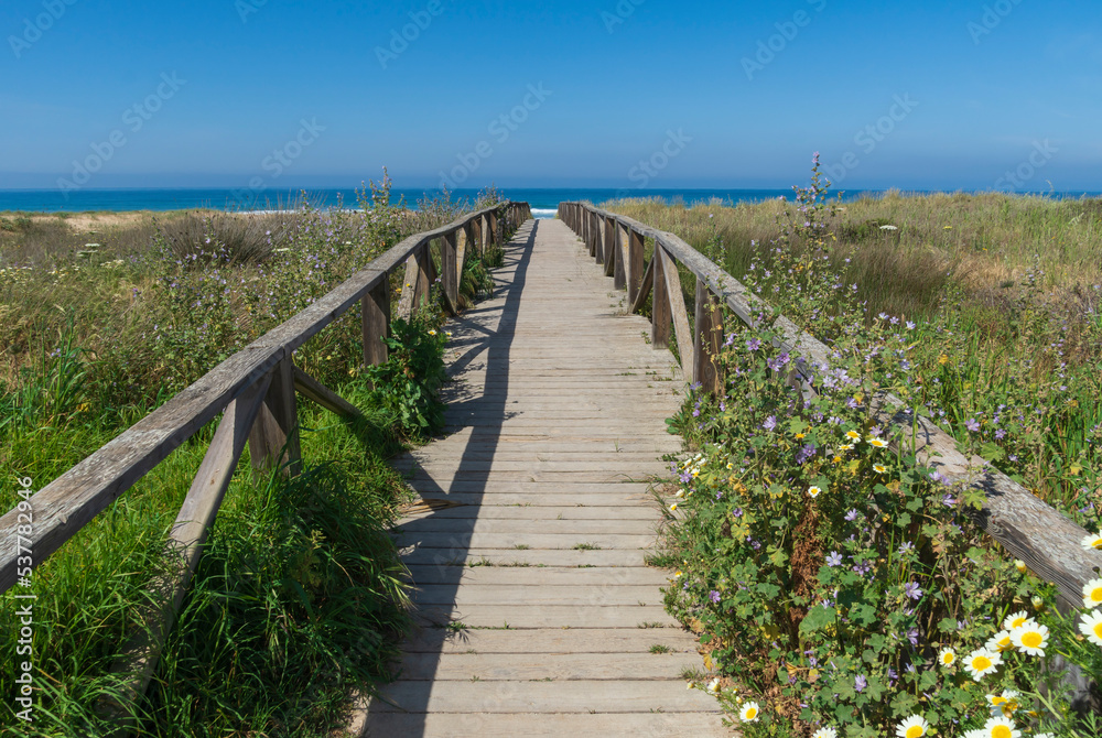 wild beach with a wooden bridge, flowers and vegetation in the foreground and sea water and blue sky in the background on a sunny day.