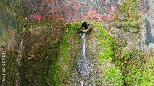 Banja Koviljaca, Serbia, Guchevo, Loznica. Spring Three sources. Healing mineral natural water flowing from Mount Guchevo. Moss and lichens on the rock. Water drops. photo