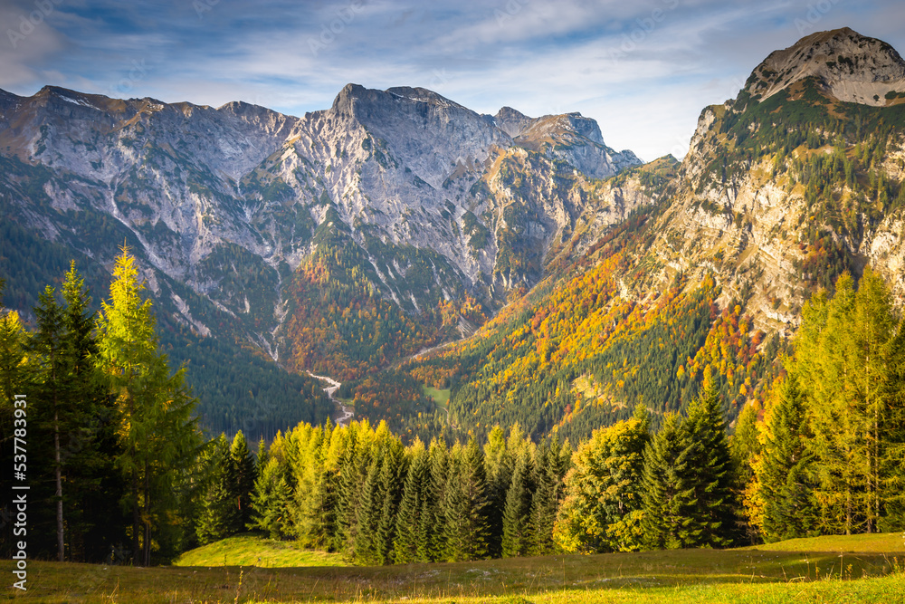 Pine trees in Alps at autumn sunrise, Karwendel mountains in Innsbruck, Tyrol