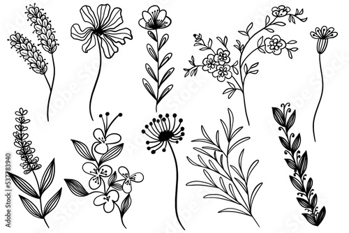 Set of line wildflowers