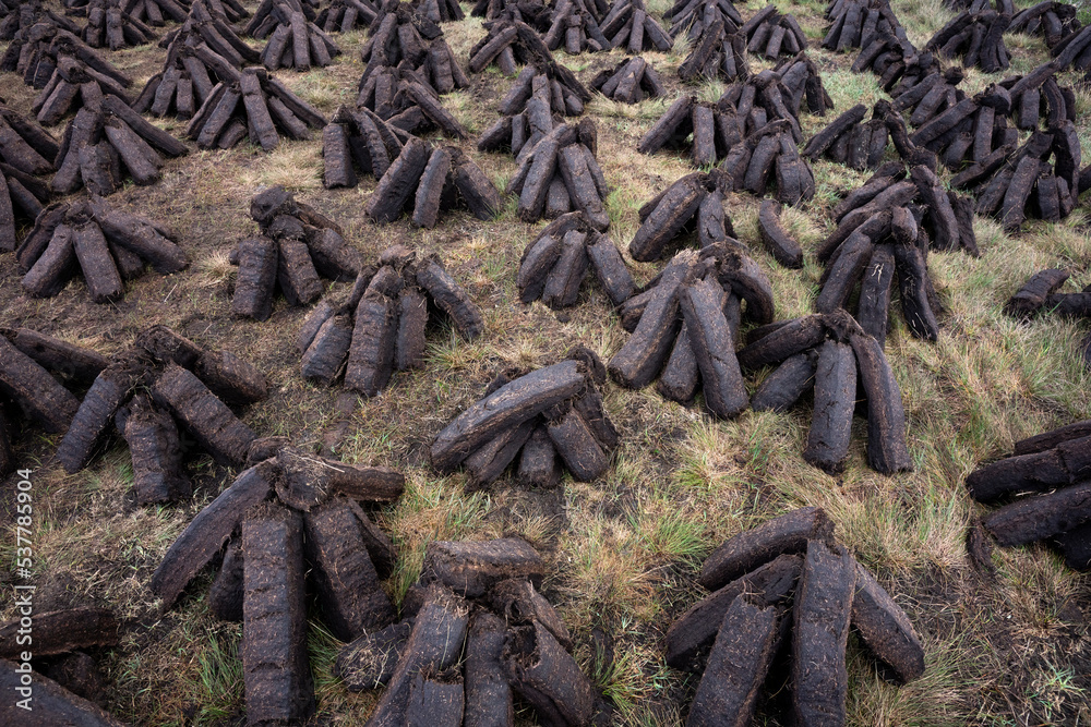 Machine-cut turf is drying in the vast landscape of north-west Ireland. Machine-cut turf is drying in the vast landscape of north-west Ireland.