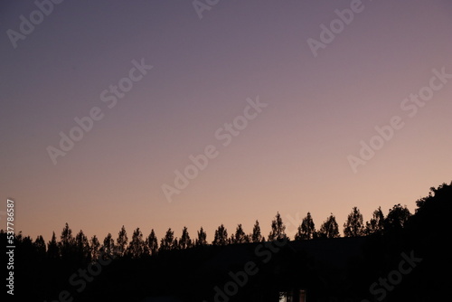 夕暮れ