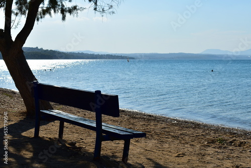 view of the seashore on a clear day with a bench under a tree