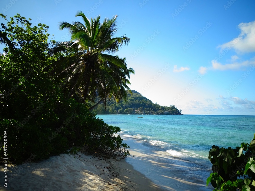 Seychelles, Praslin island, La Blague cove