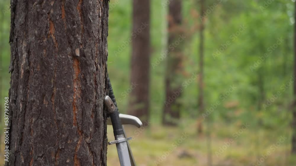 Group of people in old styled clothes takes swords leaned on pine trunk in forest closeup slow motion. Soldiers prepare weapon for battle. Medieval camp Group of people in old styled clothes takes swords leaned on pine trunk in forest closeup slow motion. Soldiers prepare weapon for battle. Medieval camp