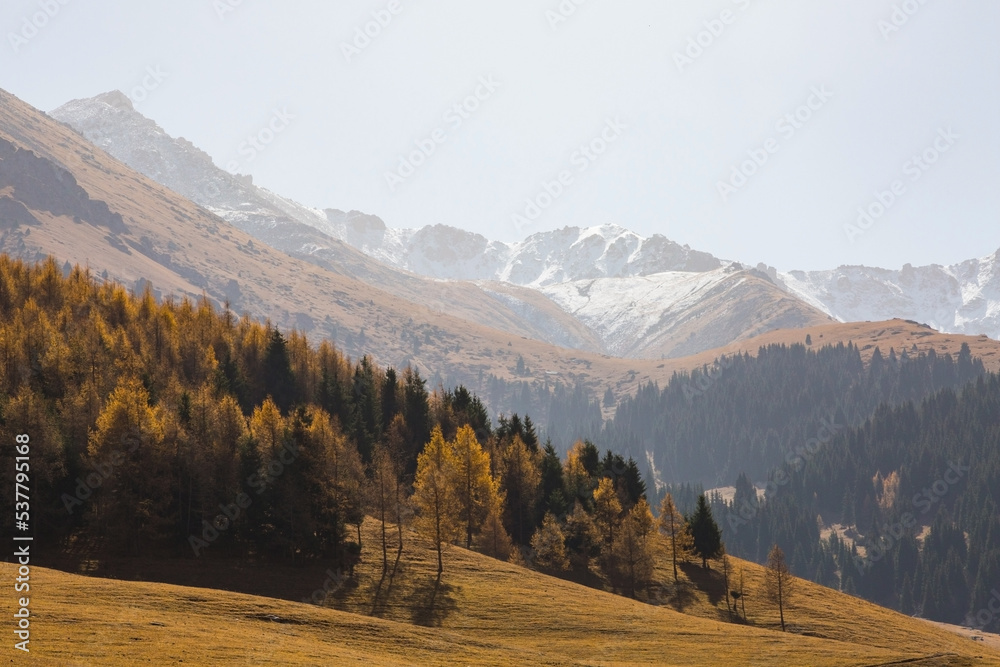 Autumn landscape with hills covered with yellowed trees 