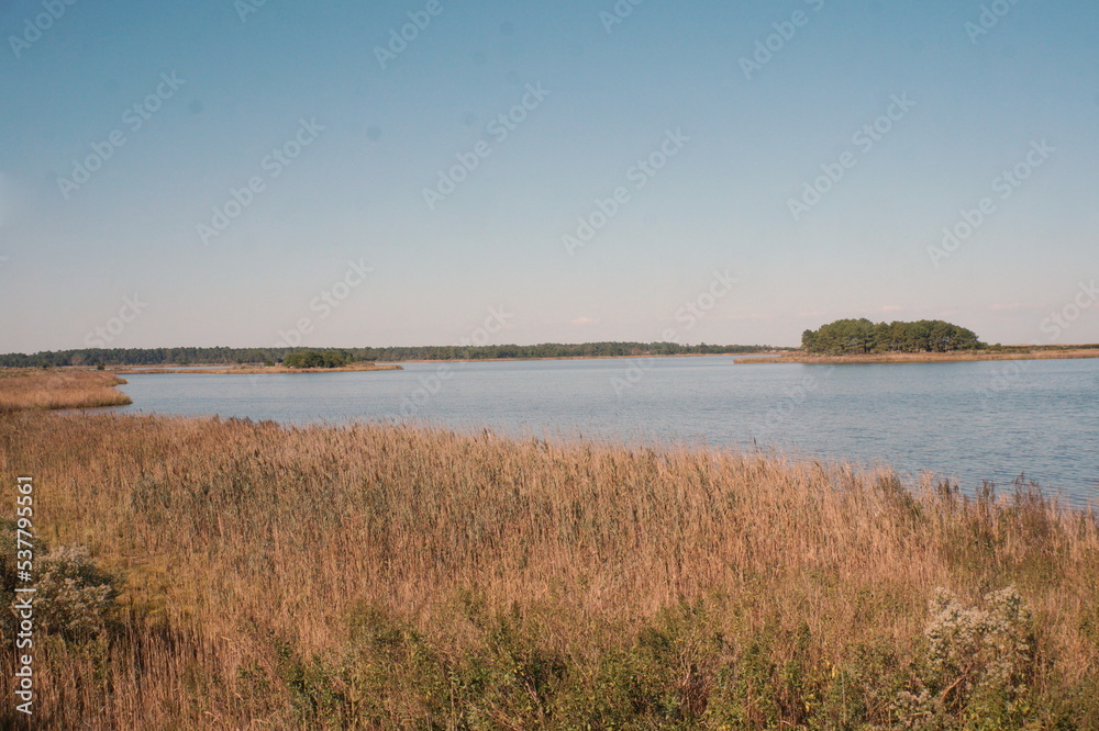 Landscape of Vast Wetlandss, Water, Trees, Grasses, and Blue Sky at a Preserve