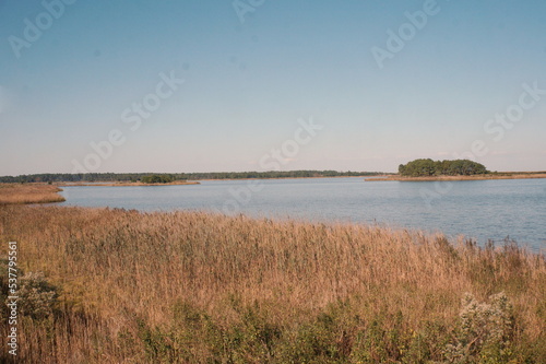 Landscape of Vast Wetlandss, Water, Trees, Grasses, and Blue Sky at a Preserve