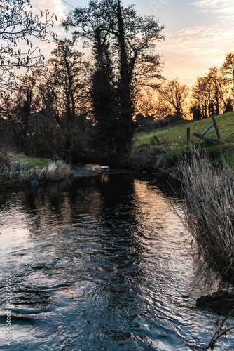 Vertical shot of a flowing river in a park at sunset in Louth, Ireland photo