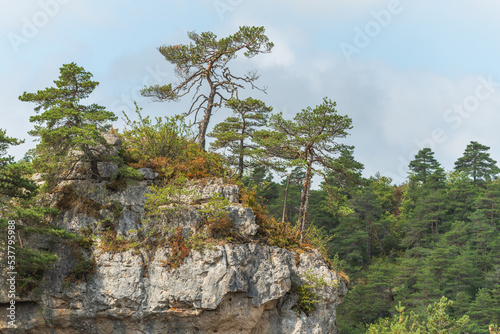 Wild landscape in Cevennes National Park, UNESCO World Heritage Site.