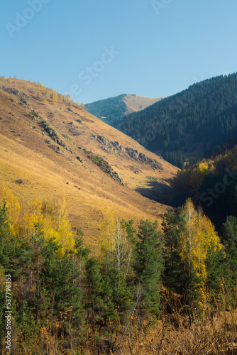 Picturesque view of mountain slope covered with colorful trees
