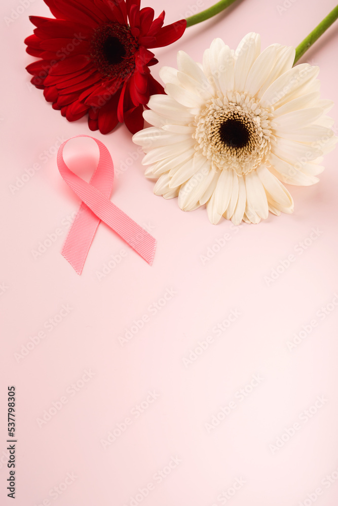 Pink Breast Cancer Awareness Ribbon. Red and white gerbera and pink ribbon on backgrounds. Breast cancer awareness and October Pink day, world cancer day. Top view. Mock up. Pink Breast Cancer Awareness Ribbon. Red and white gerbera and pink ribbon on backgrounds. Breast cancer awareness and October Pink day, world cancer day. Top view. Mock up.