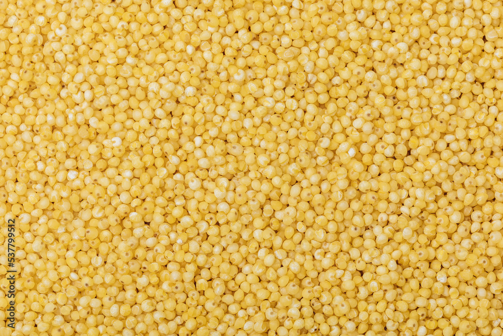 Millet background. Organic raw dry Millet grains background. Food background