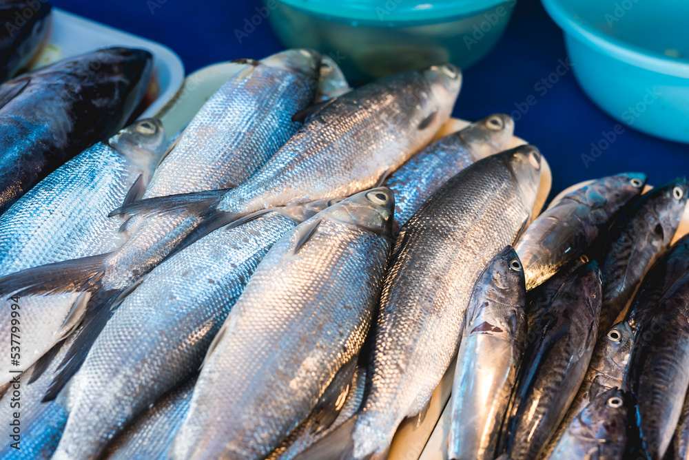 Fototapeta premium A tray of fresh milkfish or also known by Filipinos as 