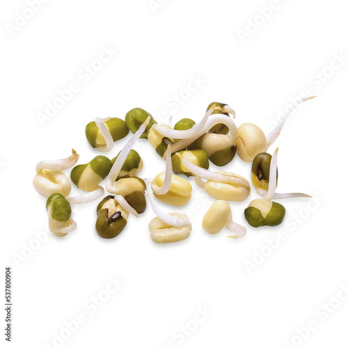 Healthy fresh bean sprouts isolated on transparent background (.PNG)