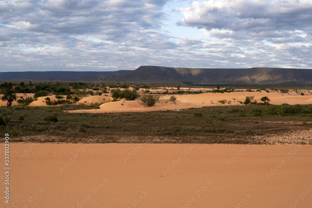 beautiful sunlit sand dunes in jalapão national park beautiful sunlit sand dunes in jalapão national park