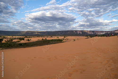 landscape in the desert