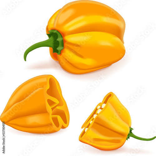 Whole and quarter of yellow habanero chili peppers. Capsicum chinense. Hot chili pepper. Fresh organic vegetables. Vector illustration isolated on white background.