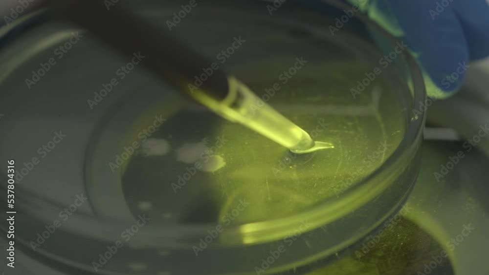 Close-up of a pipette tool collecting the sample of the organic food product. Pipette taking the small amount of organic product liquid. Pipette transporting the drops of the organic product. Close-up of a pipette tool collecting the sample of the organic food product. Pipette taking the small amount of organic product liquid. Pipette transporting the drops of the organic product.