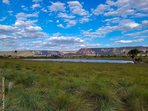 mountains in the background of a low forest