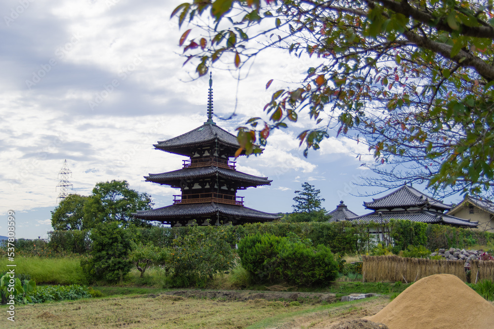 法起寺(奈良県斑鳩町)のコスモス