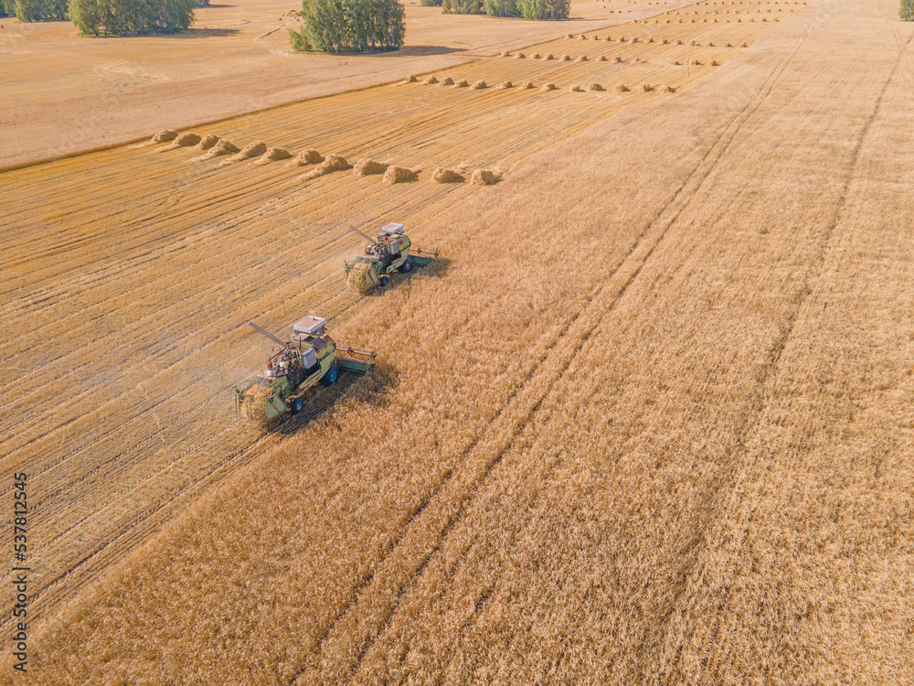 Harvest wheat grain and crop aerial view.Harvesting wheat,oats, barley in fields,ranches and farmlands.Combines mow in the field.Agro-industry.Combine Harvester Cutting on wheat filed.Machine harvest Harvest wheat grain and crop aerial view.Harvesting wheat,oats, barley in fields,ranches and farmlands.Combines mow in the field.Agro-industry.Combine Harvester Cutting on wheat filed.Machine harvest